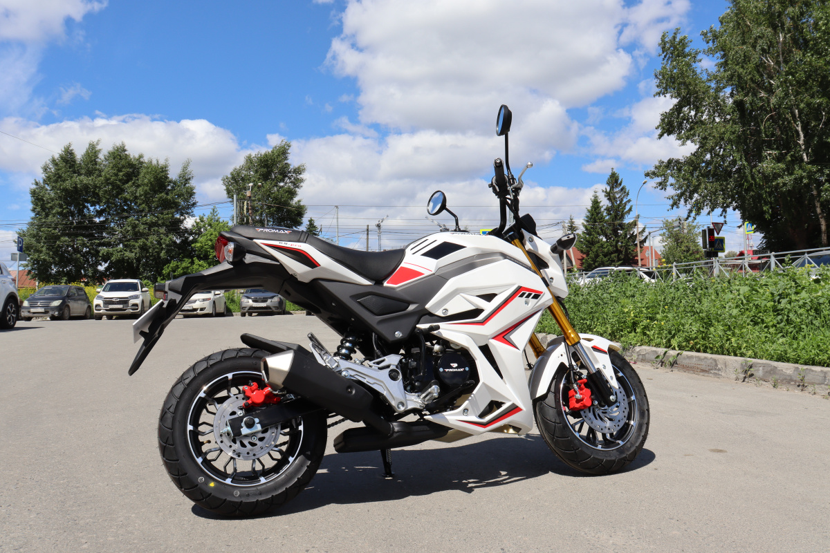 Мотоцикл PROMAX STRYKER 200(49) 2.0 в Геленджике