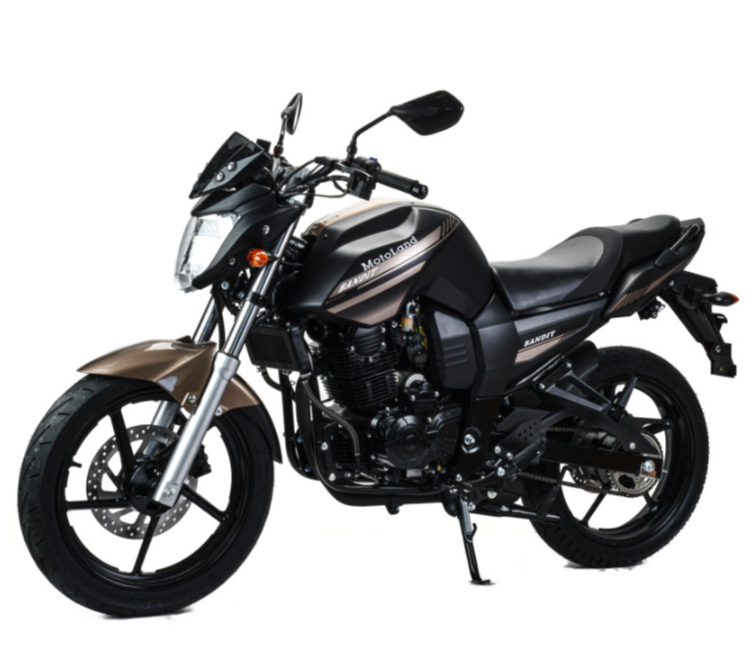 Мотоцикл MOTOLAND (МОТОЛЕНД) 300 BANDIT в Геленджике