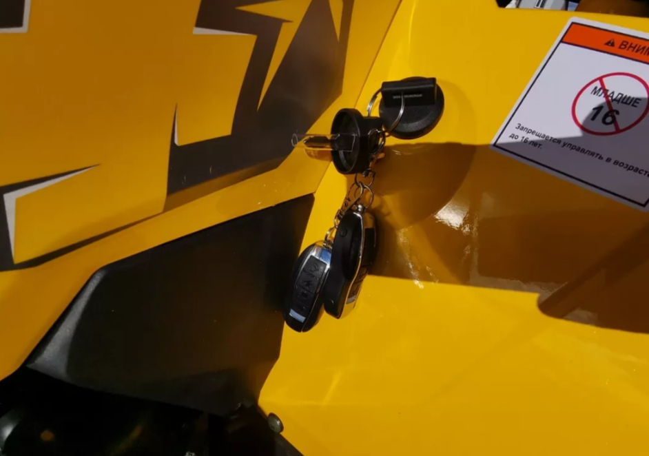 Квадроцикл MOTOLAND (МОТОЛЕНД) VOX200 WILD TRACK X PRO (баланс. вал) в Геленджике