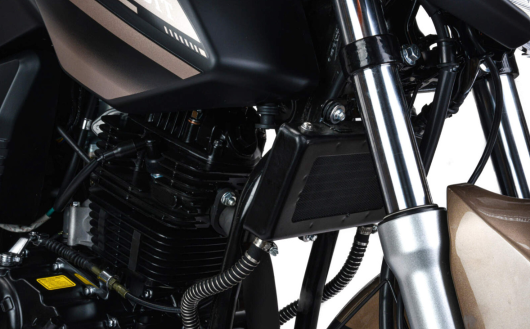 Мотоцикл MOTOLAND (МОТОЛЕНД) 300 BANDIT в Геленджике