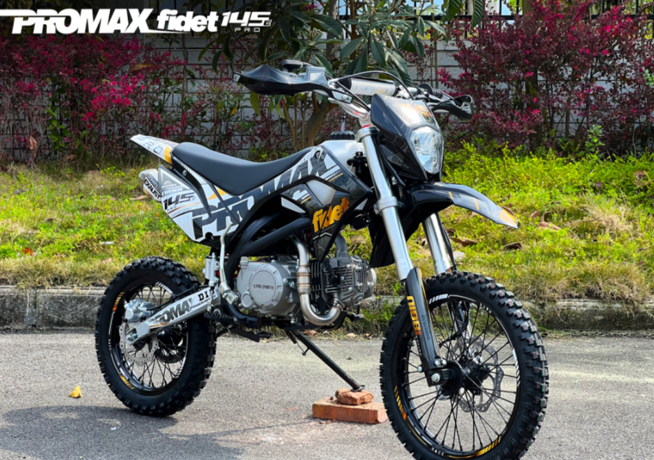 Мотоцикл (питбайк) PROMAX FIDET (ФАЙДЕТ) 145E PRO 17/14 в Геленджике