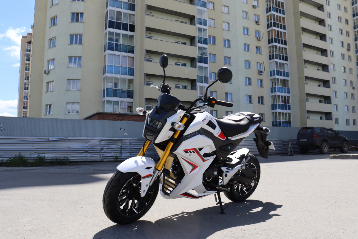 Мотоцикл PROMAX STRYKER 200(49) 2.0 в Геленджике