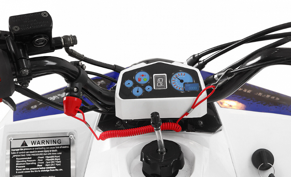 Квадроцикл Yacota Raposa 110 в Геленджике