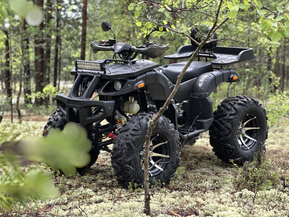 Квадроцикл PROMAX 320 DOMINATOR (2025) в Геленджике