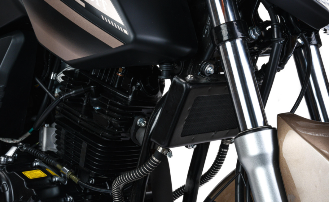 Мотоцикл MOTOLAND (МОТОЛЕНД) 300 BANDIT в Геленджике