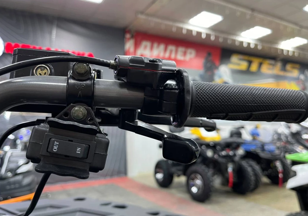 Квадроцикл PROMAX RENEGADE 300 LONG WINCH PRO (2025) в Геленджике