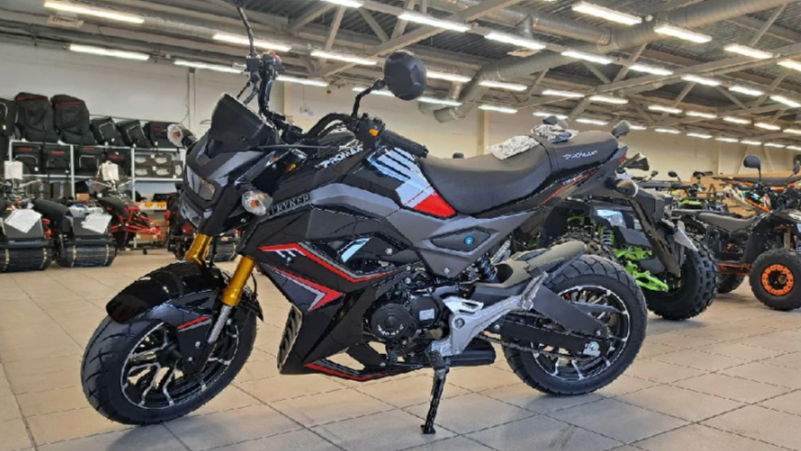 Мотоцикл PROMAX STRYKER 200(49) в Геленджике