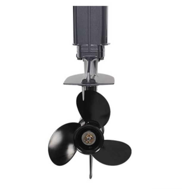 Лодочный мотор ALLFA CG Т40FW S в Геленджике