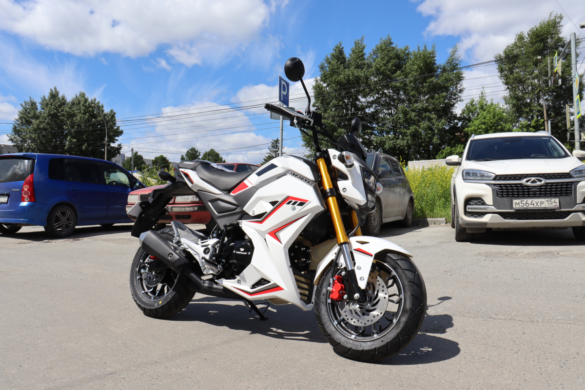 Мотоцикл PROMAX STRYKER 200(49) 2.0 в Геленджике