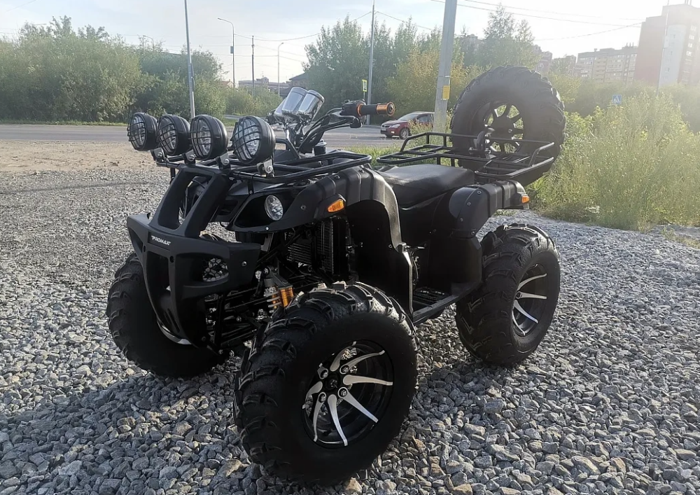 Квадроцикл PROMAX LEO 300 Max (кардан) в Геленджике