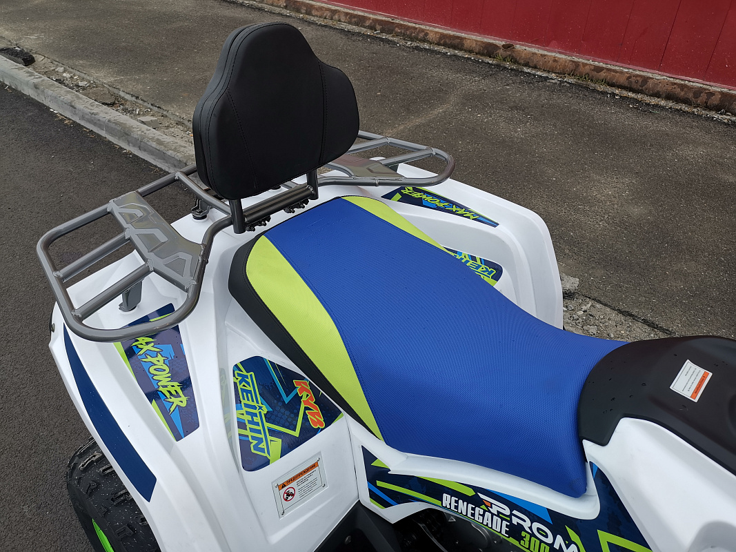 Квадроцикл PROMAX RENEGADE 280 LUX (2025) в Геленджике