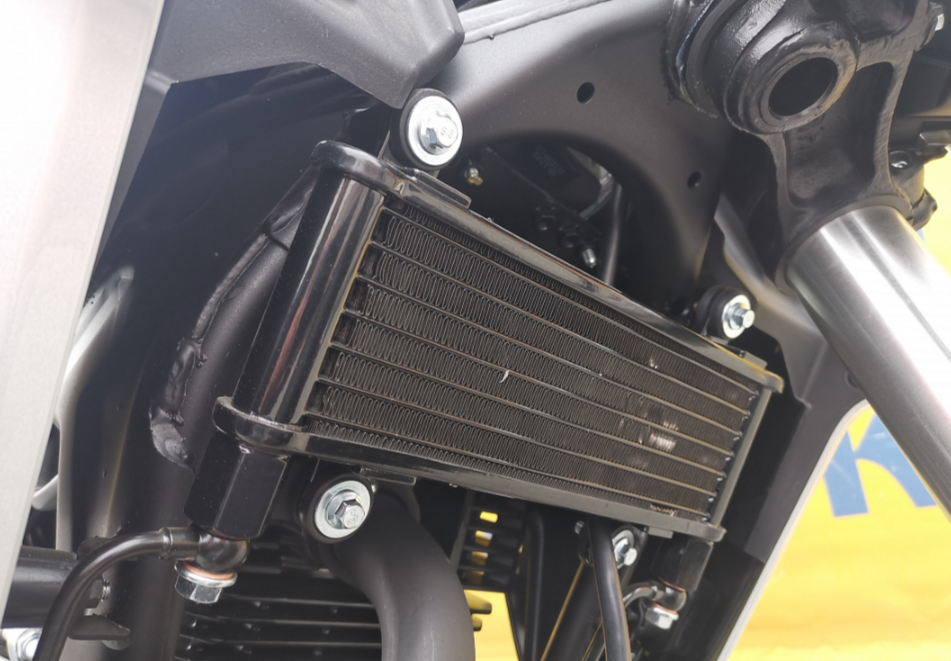 Мотоцикл MOTOLAND (МОТОЛЕНД) 250 CB250 (172FMM-5/PR250) (2022 г.) в Геленджике