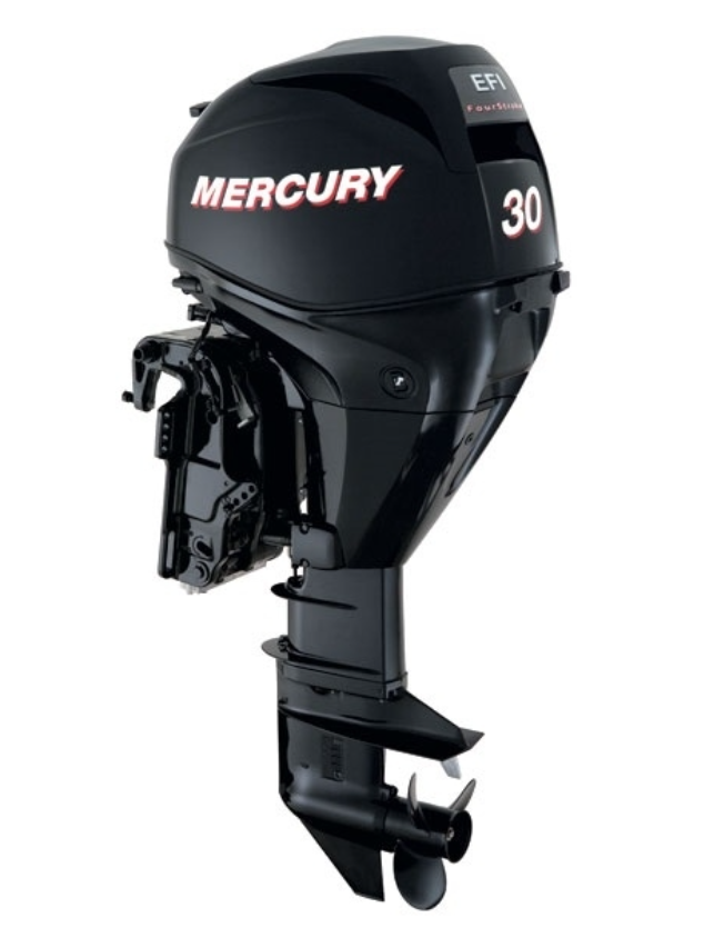 ЛОДОЧНЫЙ МОТОР MERCURY  F 30 ELH GA EFI в Геленджике