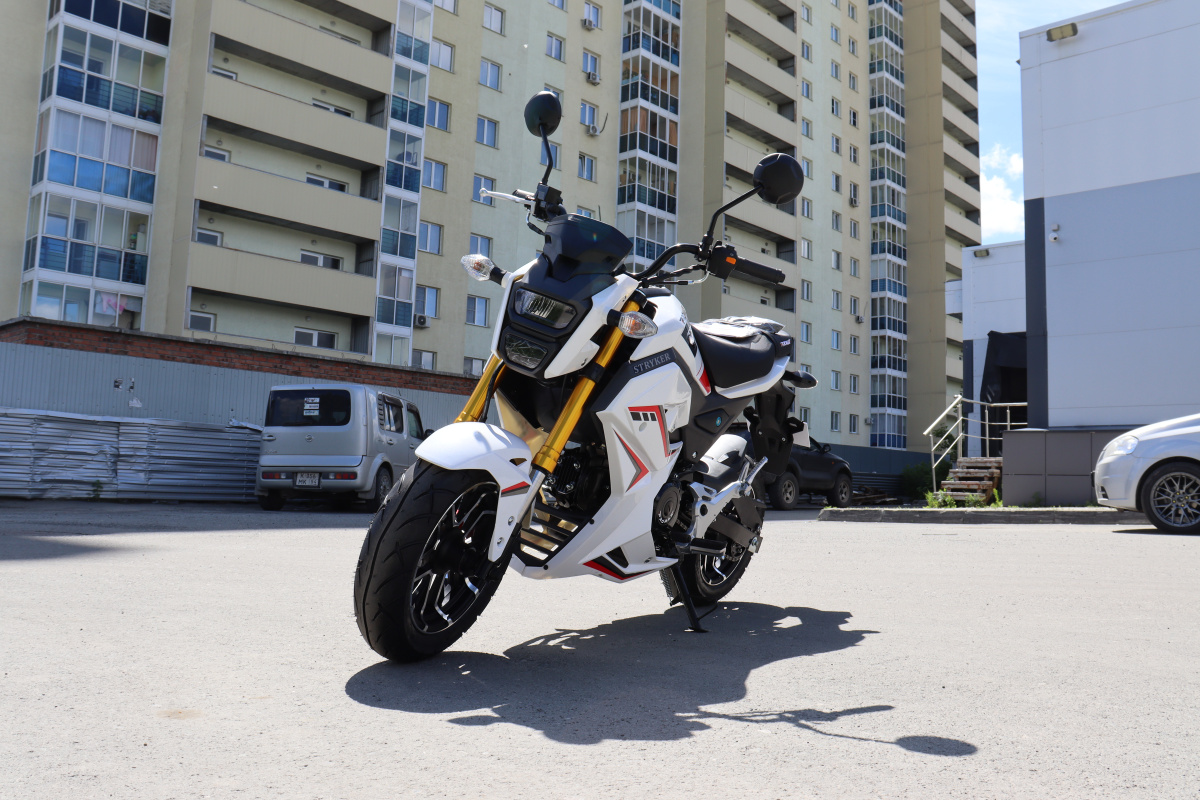 Мотоцикл PROMAX STRYKER 200(49) 2.0 в Геленджике