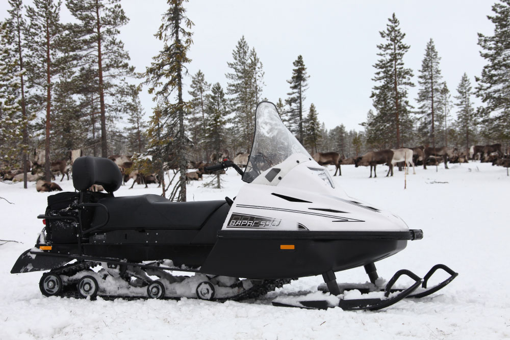 СНЕГОХОД РМ ТАЙГА ВАРЯГ 550 V в Геленджике