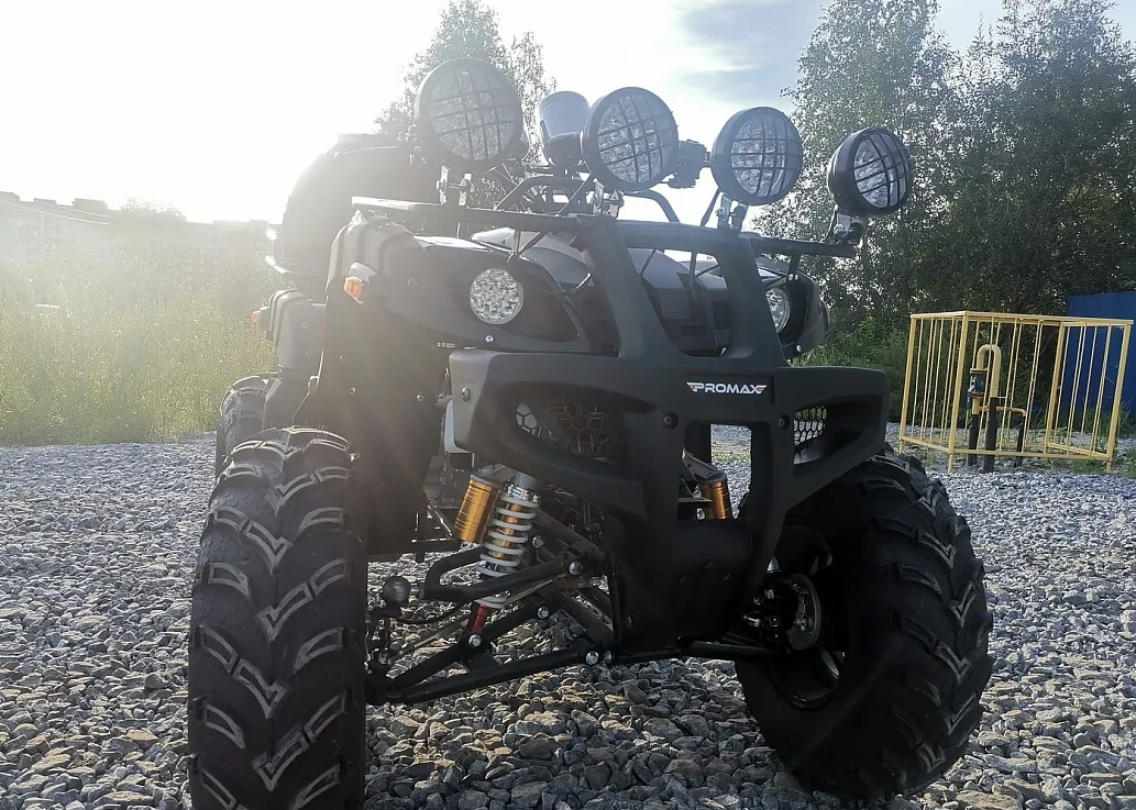 Квадроцикл PROMAX LEO 300 Max (кардан) в Геленджике