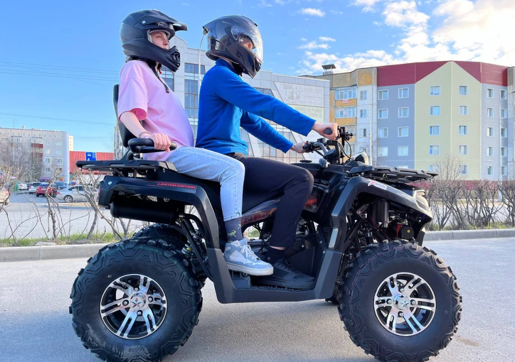 Квадроцикл PROMAX RENEGADE 300 LONG WINCH PRO (2025) в Геленджике