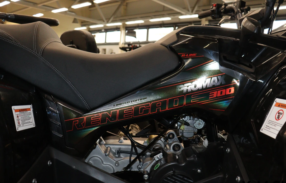 Квадроцикл PROMAX RENEGADE 300 LONG WINCH PRO (2025) в Геленджике