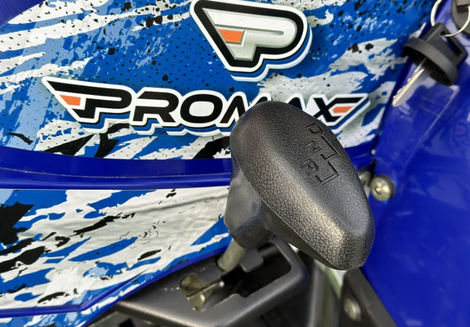  Квадроцикл PROMAX ATV 250 MAX (2025) в Геленджике