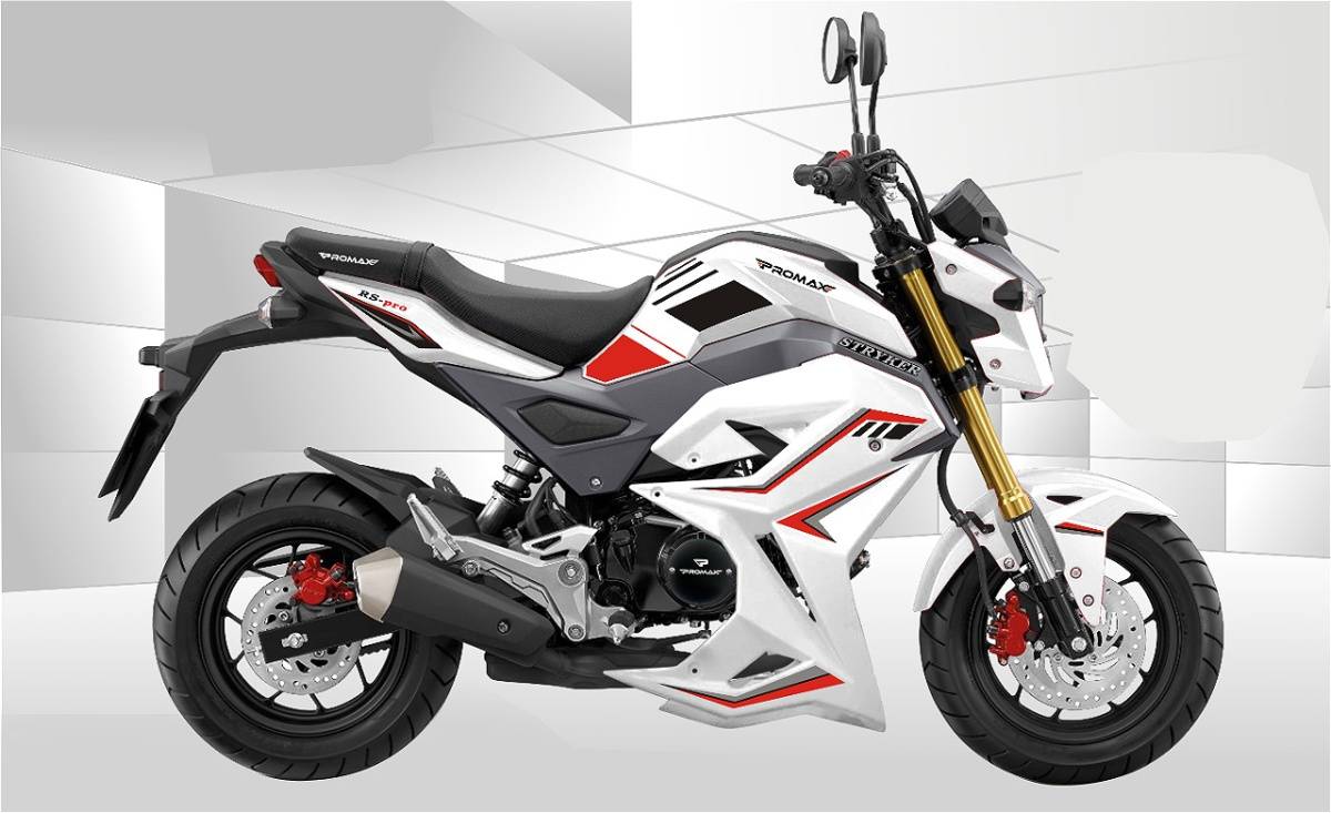 Мотоцикл PROMAX STRYKER 200(49) 2.0 в Геленджике