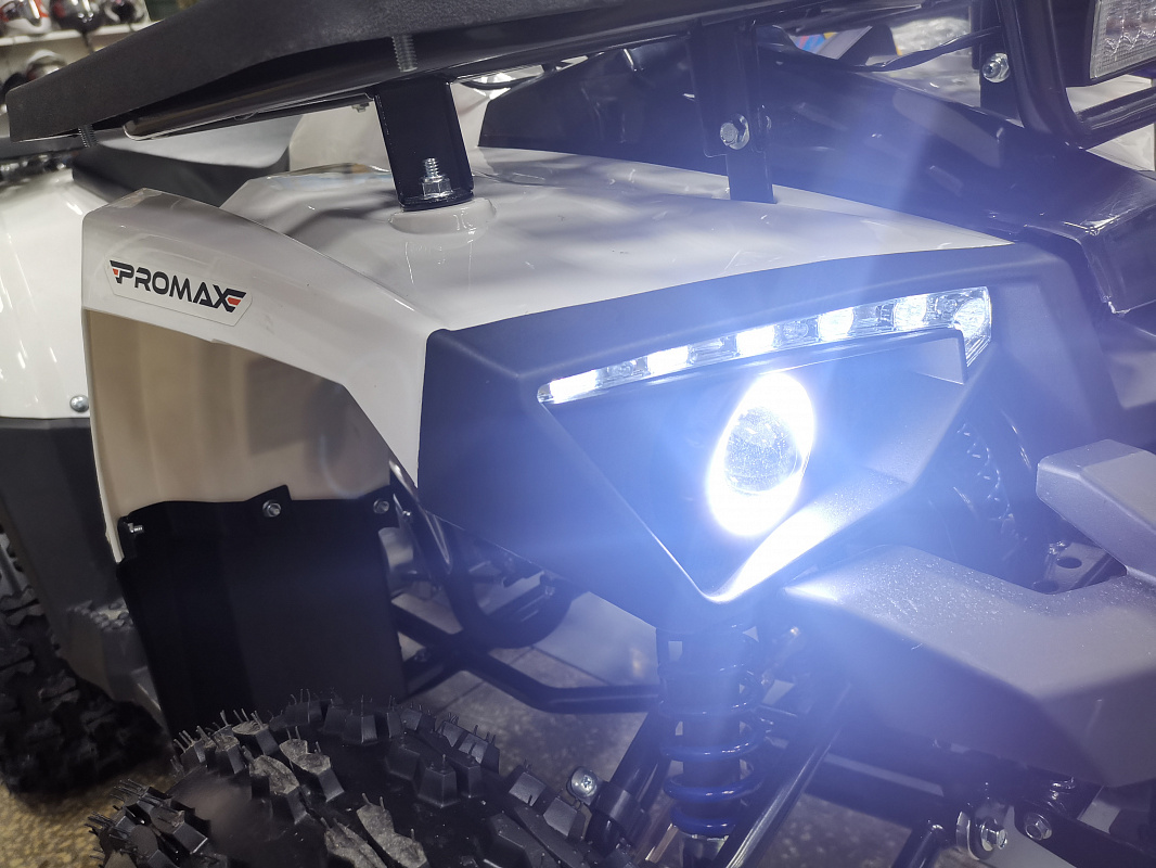 Квадроцикл PROMAX WILD 175 LUX в Геленджике
