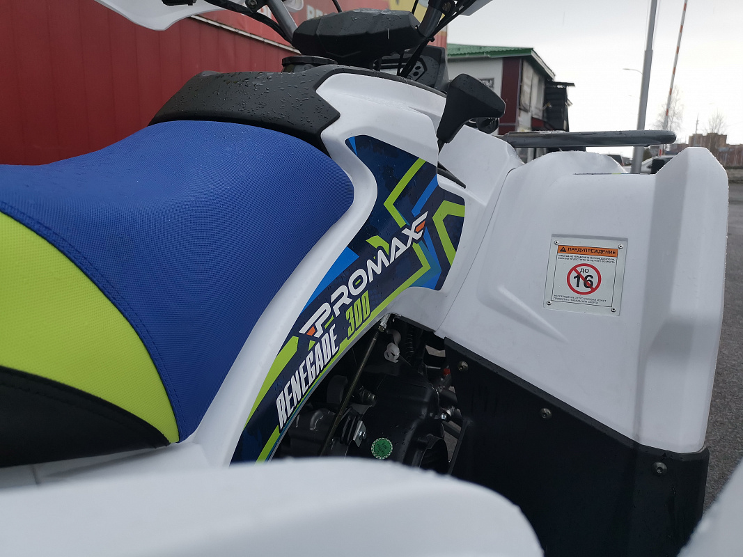 Квадроцикл PROMAX RENEGADE 280 LUX (2025) в Геленджике