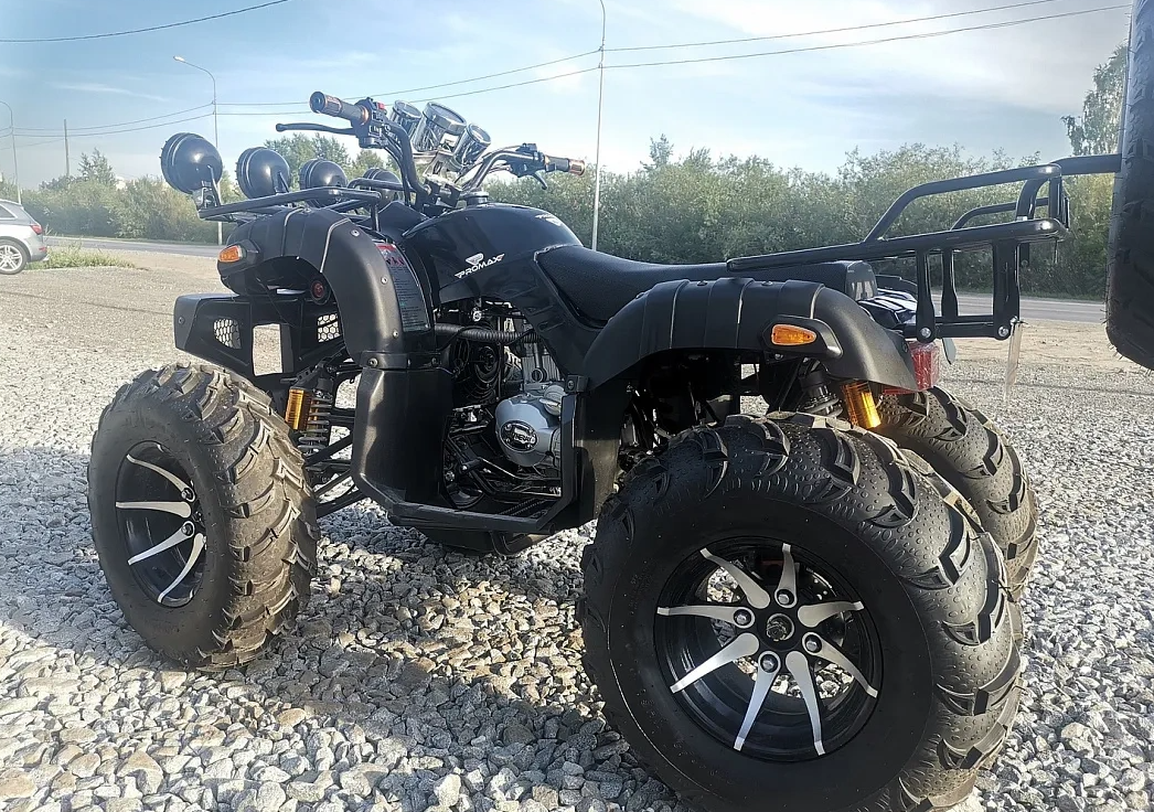 Квадроцикл PROMAX LEO 300 Max (кардан) в Геленджике