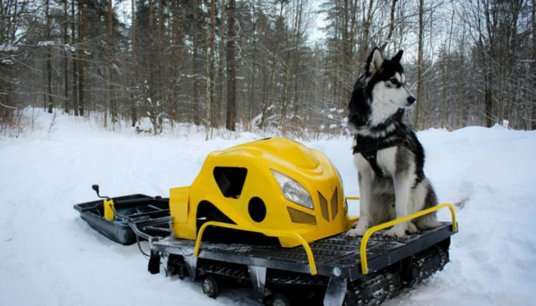Мотобуксировщик LEBEDEV MOTORS ВОЛКОДАВ POWER V13 в Геленджике