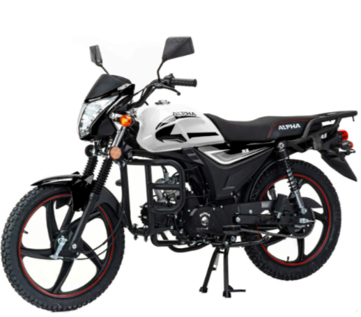 Мопед MOTOLAND (МОТОЛЕНД) Альфа RS 11 (LM48-B) в Геленджике