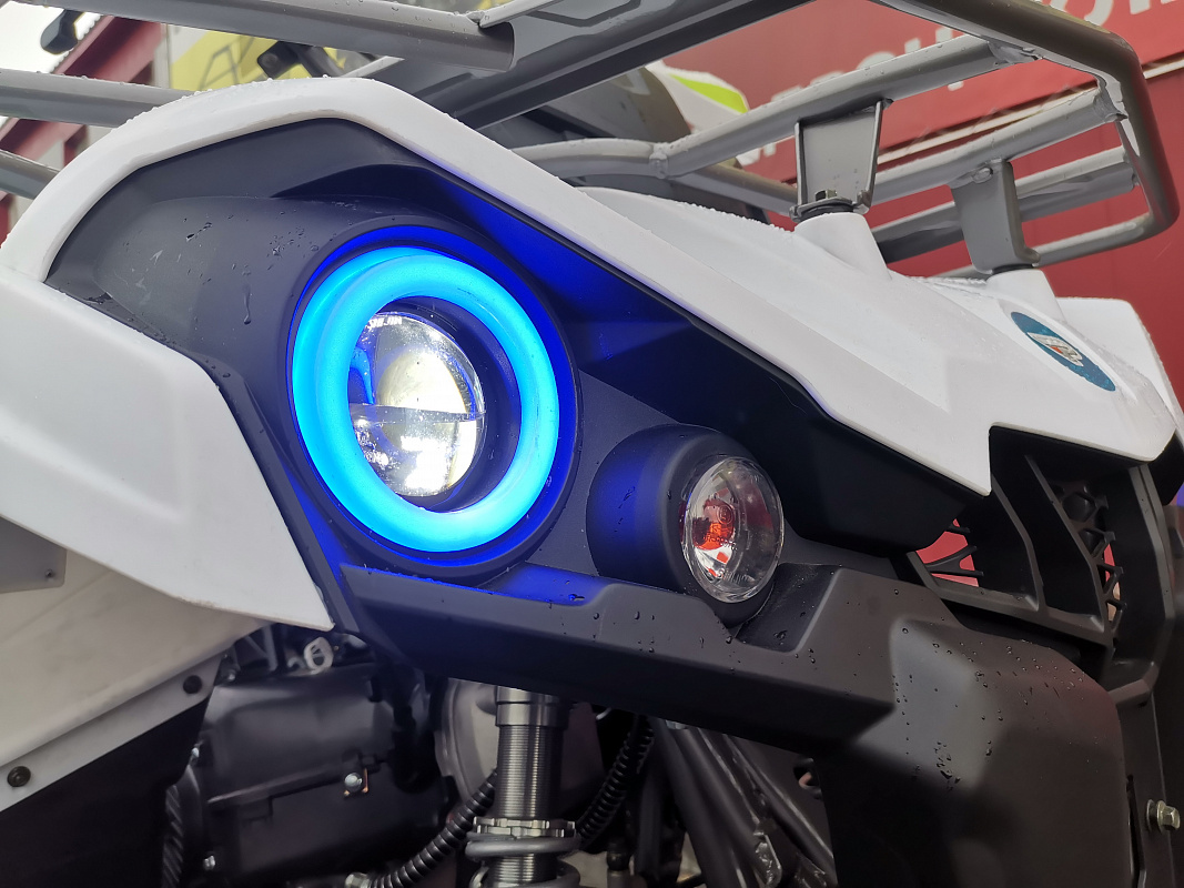 Квадроцикл PROMAX RENEGADE 280 LUX (2025) в Геленджике