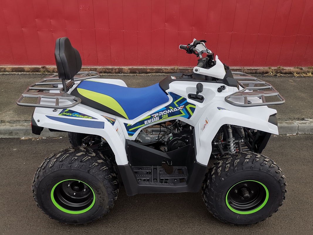 Квадроцикл PROMAX RENEGADE 280 LUX (2025) в Геленджике