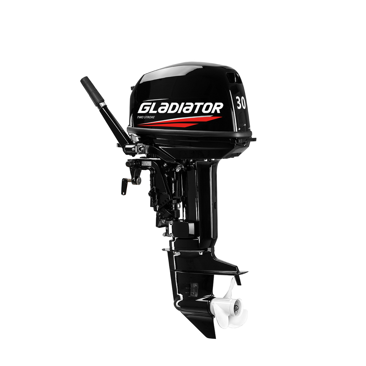 ЛОДОЧНЫЙ МОТОР GLADIATOR G30FHS в Геленджике