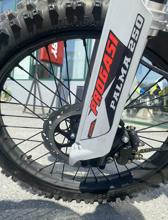 Мотоцикл Progasi PALMA 300 NEW (CB300F) в Геленджике