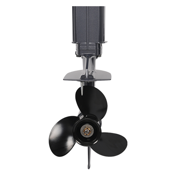 Лодочный мотор ALLFA CG T9.9(20) MAX Limit в Геленджике