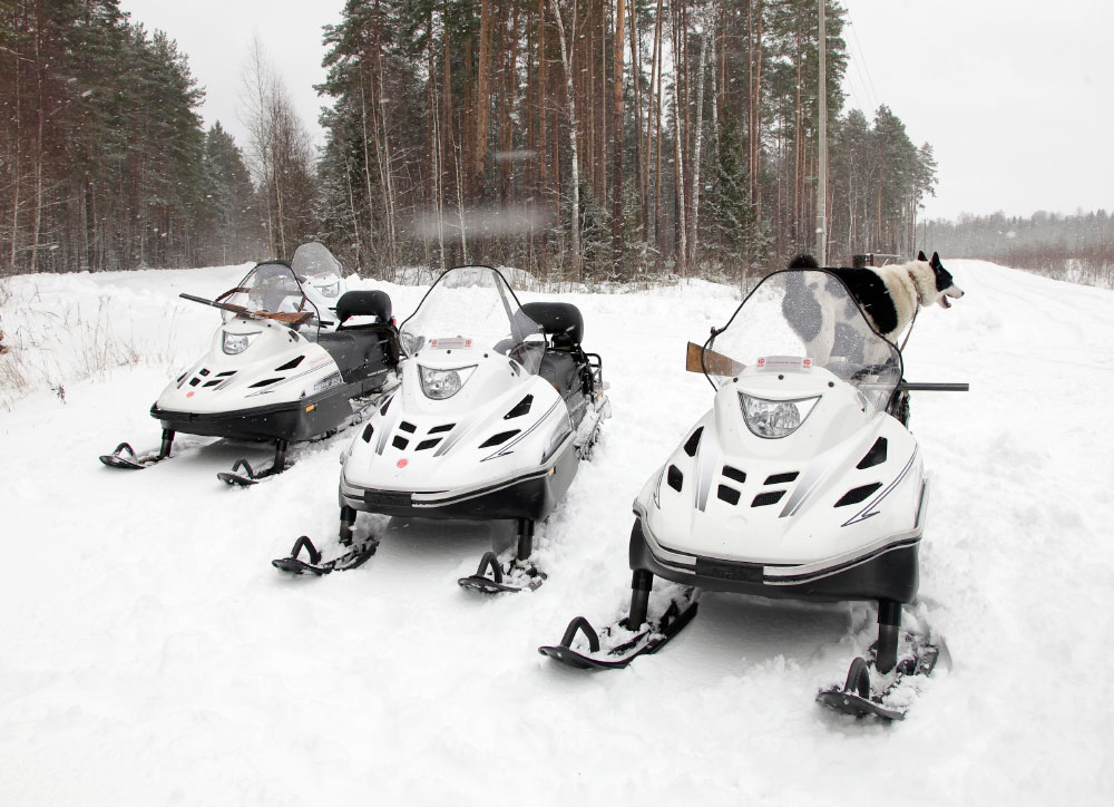 СНЕГОХОД РМ ТАЙГА ВАРЯГ 550 V в Геленджике