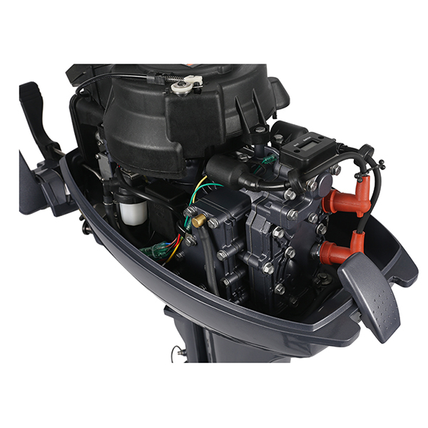 ЛОДОЧНЫЙ МОТОР ALLFA CG Т9,9 Limit в Геленджике