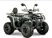 Квадроцикл YACOTA DRAGON LUX LD 150 PRO-SPORT в Геленджике