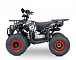Квадроцикл YACOTA SIRIUS 110 в Геленджике