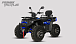 Квадроцикл PROMAX TAURUS 300 MAX-PRO LONG в Геленджике