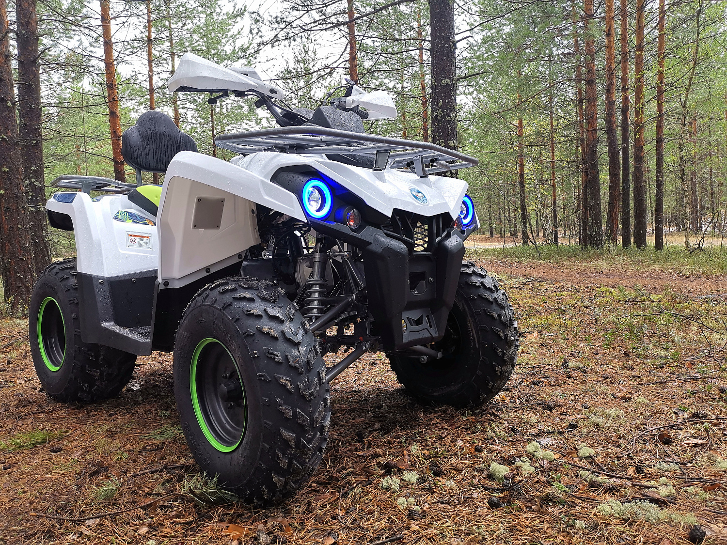 Квадроцикл PROMAX RENEGADE 280 (2025) в Геленджике