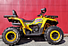 Квадроцикл PROMAX STORM 280 LUX в Геленджике