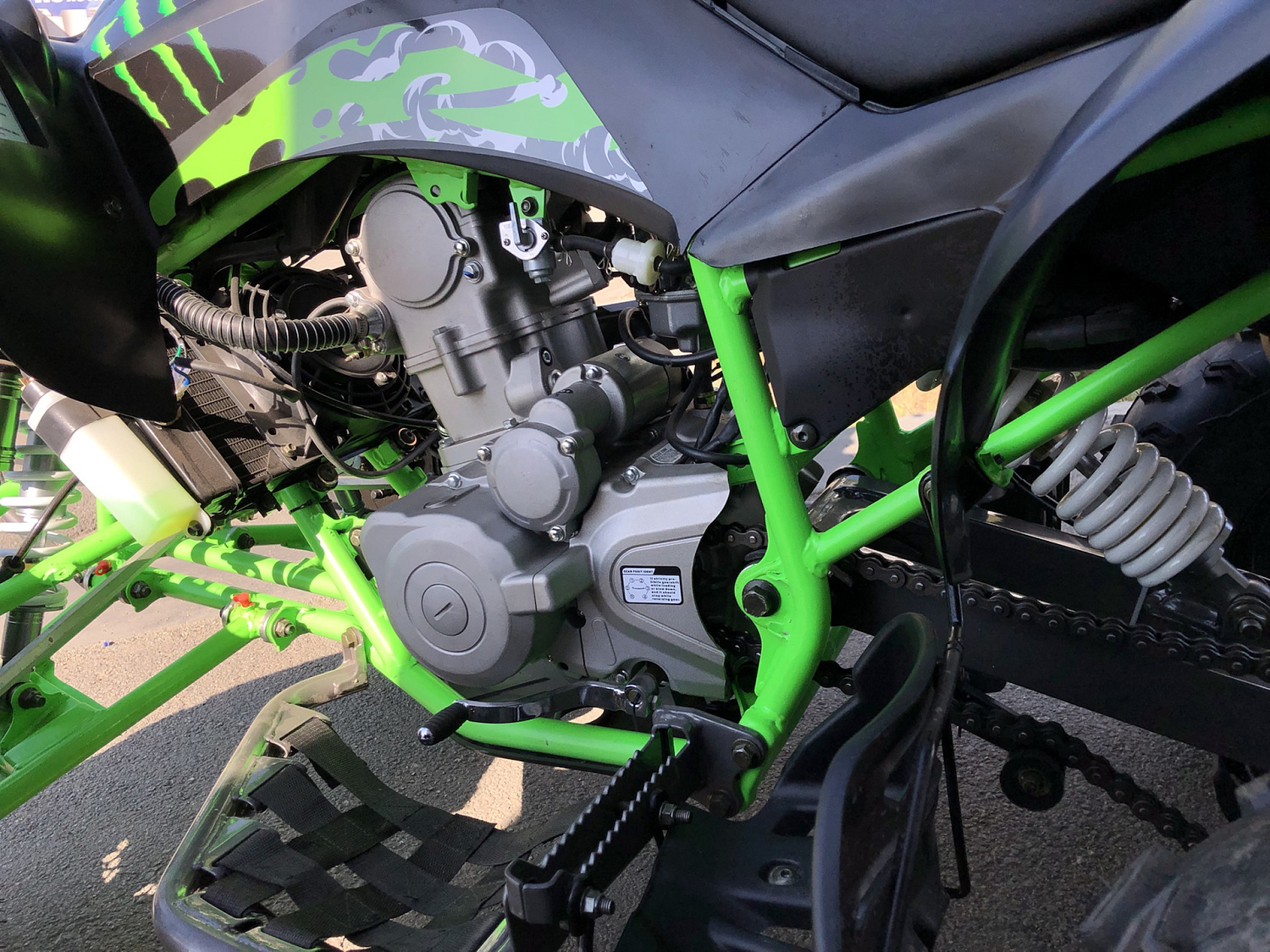 Квадроцикл PROMAX RAPTOR 300 NEW Monster в Геленджике