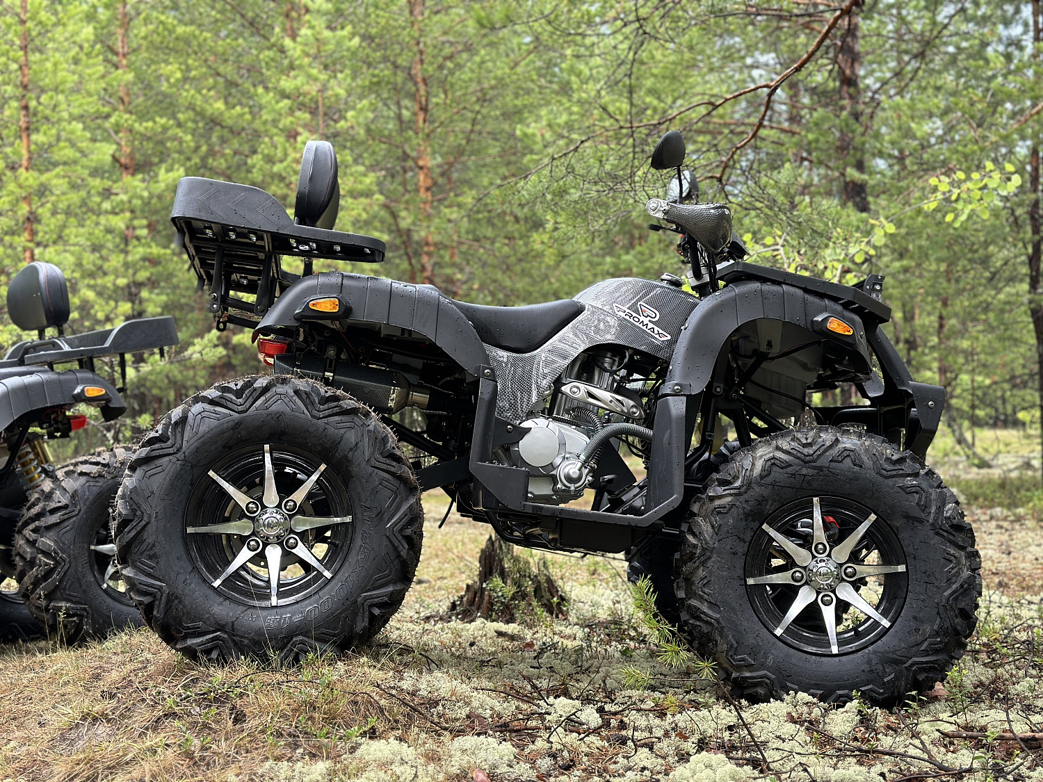 Квадроцикл PROMAX 320 DOMINATOR (2025) в Геленджике