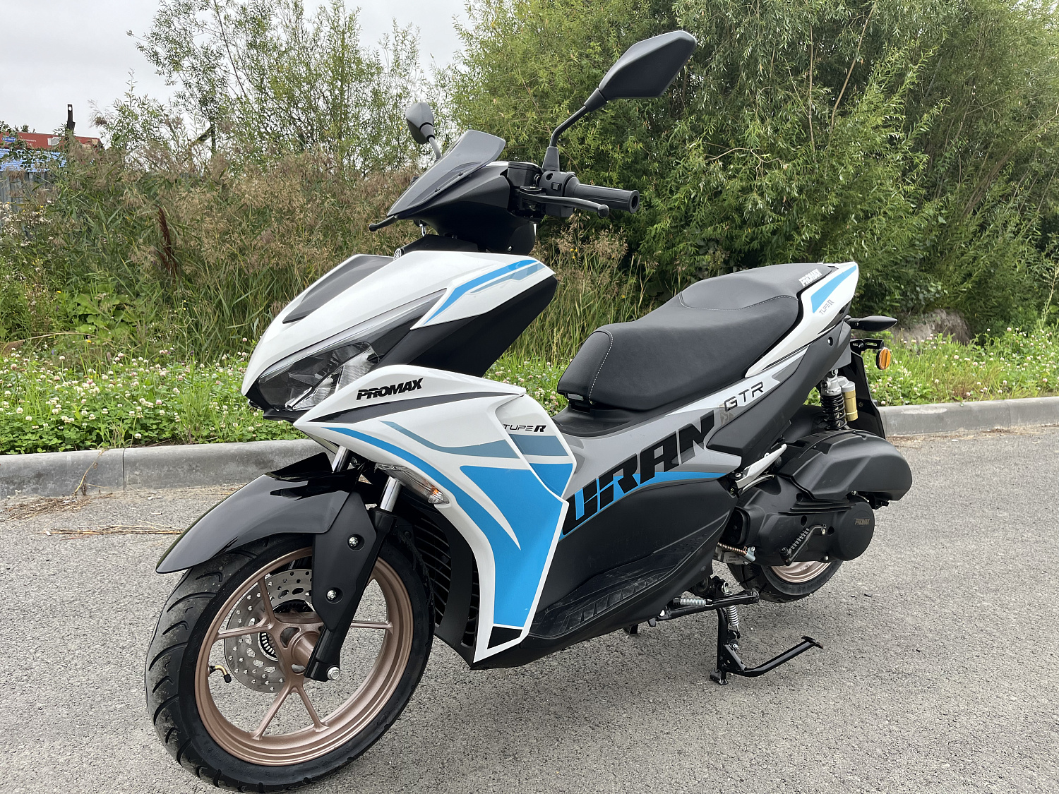 Скутер PROMAX TURAN 250 (49) в Геленджике