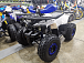 Квадроцикл PROMAX WILD 175 LUX в Геленджике