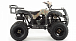 Квадроцикл MOTOLAND (МОТОЛЕНД) 200 ALL ROAD в Геленджике
