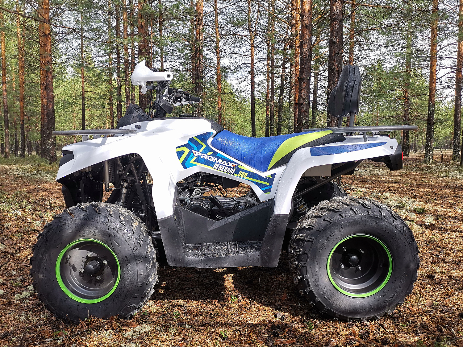 Квадроцикл PROMAX RENEGADE 280 (2025) в Геленджике
