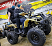 Квадроцикл PROMAX ATV 250 (2025) в Геленджике