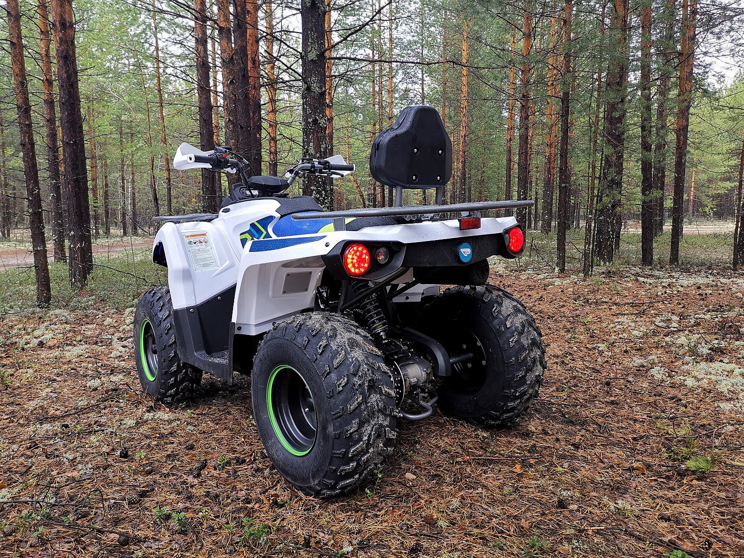 Квадроцикл PROMAX RENEGADE 280 (2025) в Геленджике