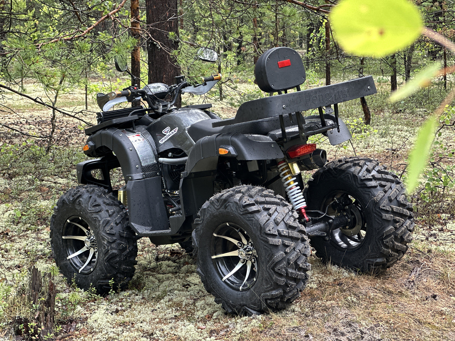 Квадроцикл PROMAX 320 DOMINATOR (2025) в Геленджике